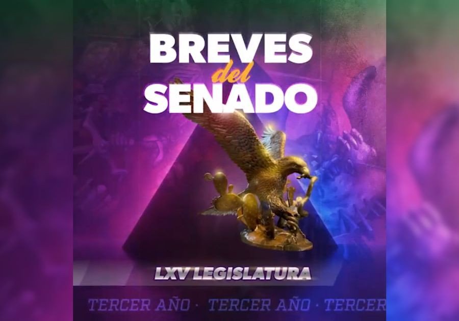 #Video I Las Breves del Senado