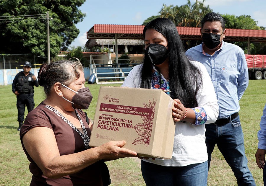 Entrega Desarrollo Rural apoyos para cafeticultura en Sierra Nororiental