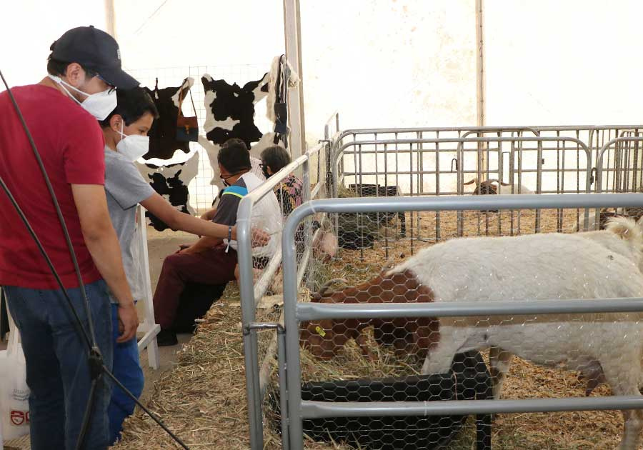 Con apoyo de SDR, productores consuman venta de animales en Expo Ganadera