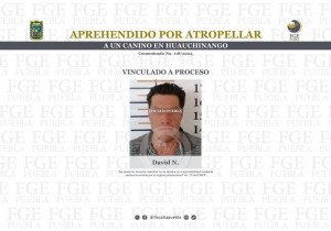 Aprehendido por atropellar a un perro en Huauchinango