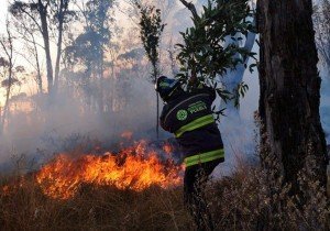 El fuego como negocio: frenar el ecocidio en Puebla