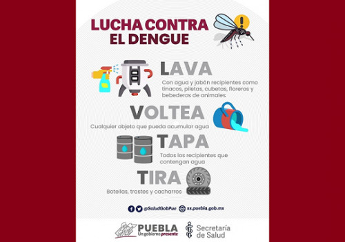 Reporta Salud 14 personas hospitalizadas por dengue en Puebla