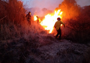 SMADSOT informa que quedó controlado un segundo incendio en la zona de Flor del Bosque