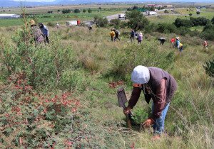 Articula Medio Ambiente estrategias para restaurar recursos naturales en Puebla