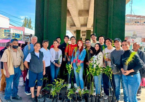 Con jornadas de reforestación, desarrollamos espacios verdes: Armenta