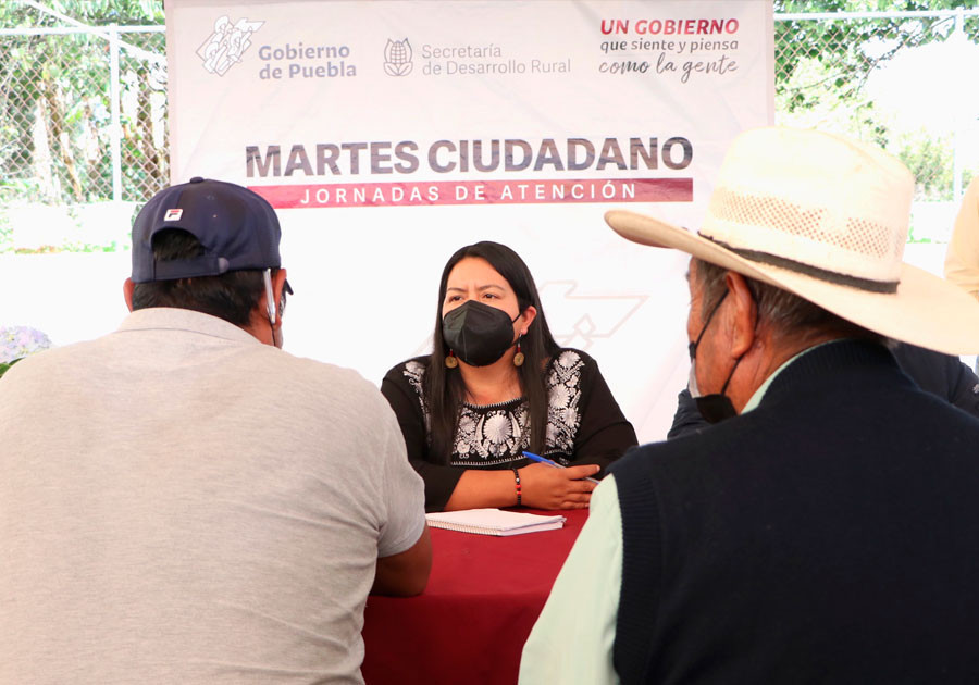 Respaldará SDR a productores de flores tras petición en Martes Ciudadano