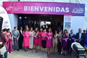 Lupita Cuautle advierte sobre violencia política contra mujeres en la vida pública