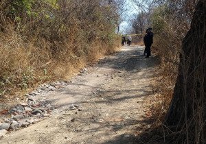 Protección Civil rescata a familia que cayó a un barranco