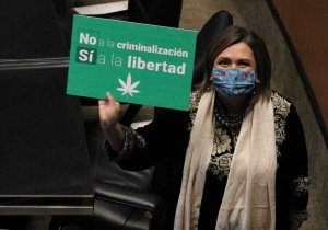 Avanza en el Senado legalización de la marihuana