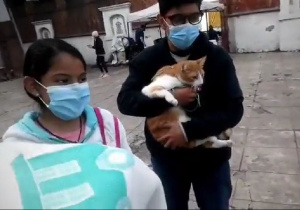 Ni la covid-19 detuvo bendición de mascotas en Puebla