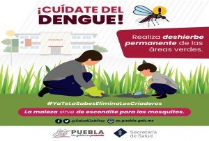 Sin personas hospitalizadas ni defunciones por dengue en últimas 24 horas: Salud