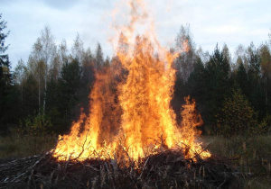 Detectan incendios forestales en territorio poblano