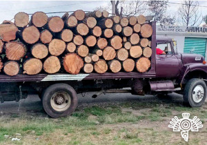 Recupera Policía Estatal media centena de troncos de madera