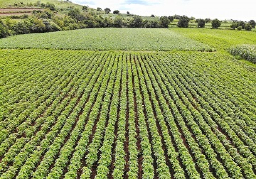 Abren ventanillas 6 programas de Recuperación del Campo Poblano