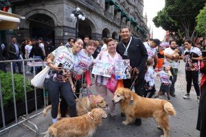 Por amor y seguridad: Puebla corre con sus lomitos contra el maltrato animal