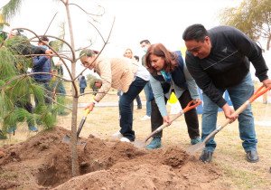 Cumple Medio Ambiente 76 jornadas de reforestación, suman 200 mil plantas