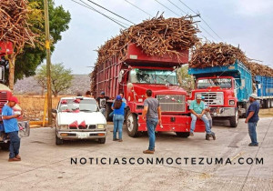 Arranca zafra en la Mixteca de Puebla; se crearán 20 mil empleos