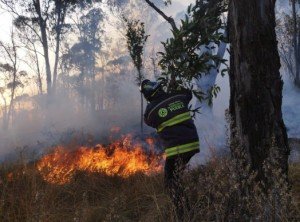 Ante la atención inmediata de incendios, los provocados tendrán penas severas