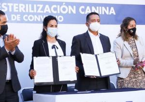 Firma San Andrés Cholula convenio para la esterilización de caninos y felinos