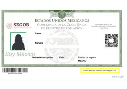 La nueva CURP con fotografía: propuesta de Morena para un documento de identificación