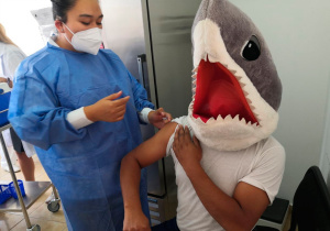 &#039;Tiburón&#039; se vacuna en Cholula