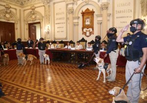 Jubilan a 16 perros policía de Puebla capital