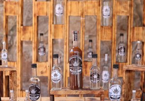 Para impulsar la industria de esta bebida artesanal, SDR presenta la Ruta Agroturística de Mezcal