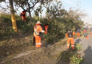 Realizan Jornada de Limpieza Integral en avenida Casuarinas