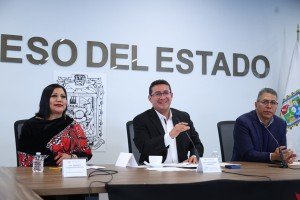 Diputación migrante debe representar a la comunidad: Pavel Gaspar