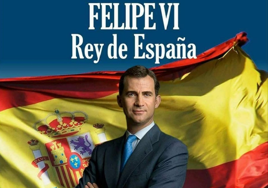 Felipe VI rey de España 