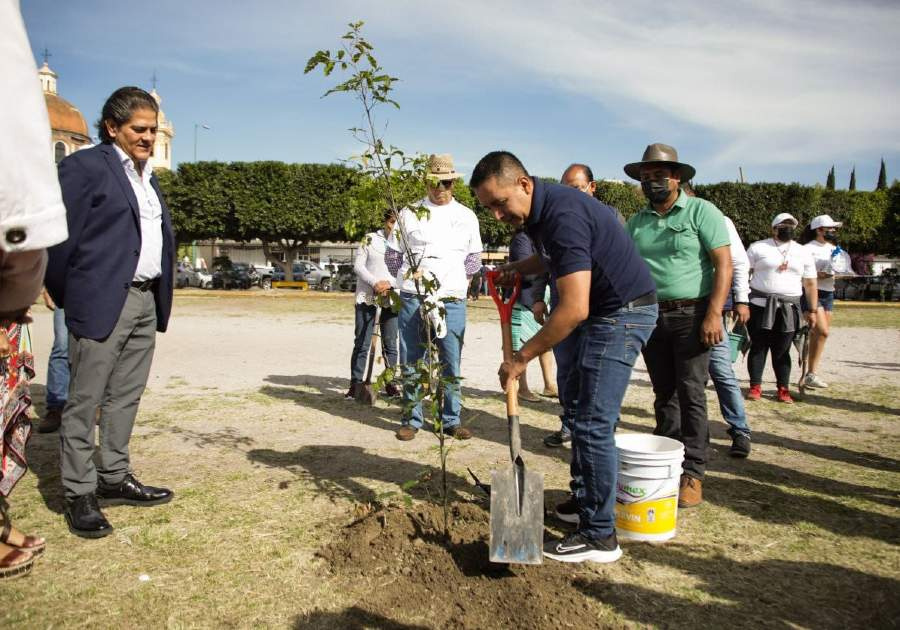 Encabeza Mundo Tlatehui reforestación en San Andrés Cholula