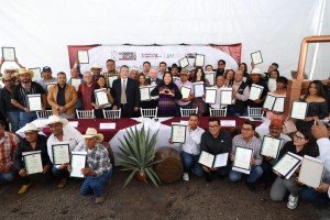 Puebla consolida liderazgo nacional en producción de mezcal con 91 medallas