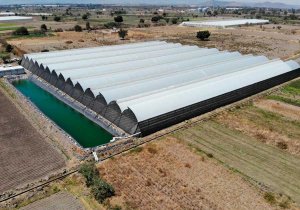 López Obrador contento con trabajo del campo en Puebla: MBH