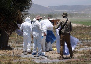 Comisión de Búsqueda y FGE trabajan en terrenos de Palmar de Bravo