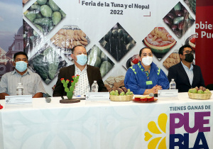 Invita Acatzingo a Feria de la Tuna y el Nopal