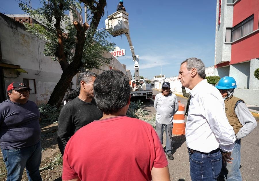 Supervisa Chedraui acciones por caída de árbol