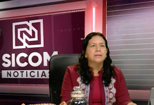 Puebla fortalece producción de frijol con pequeños productores: Ana Laura Altamirano