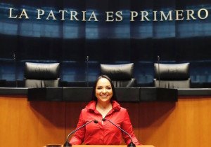 Liz Sánchez integrante de la LXVI Legislatura del Senado de la República