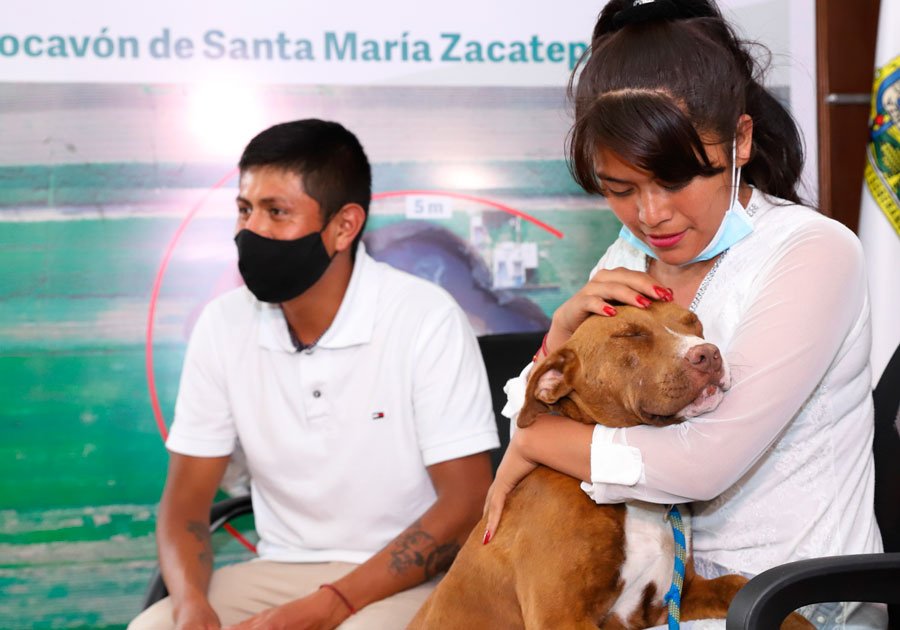 “Spay”, el can que cayó al socavón, entregado a su familia