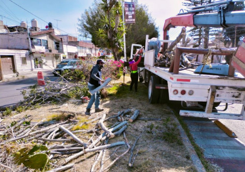 Atiende Ayuntamiento de Puebla caída de árboles y ramas por intenso viento