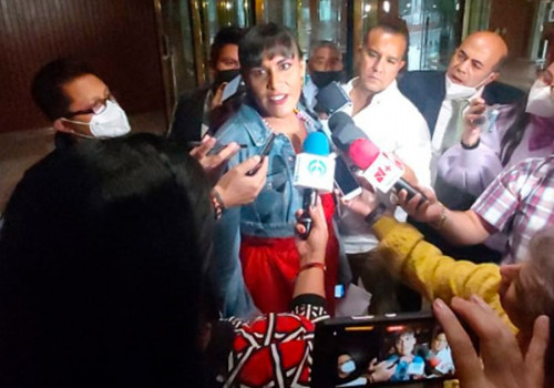 Diputada de Morena defiende difusión de videos sexuales en Twitter