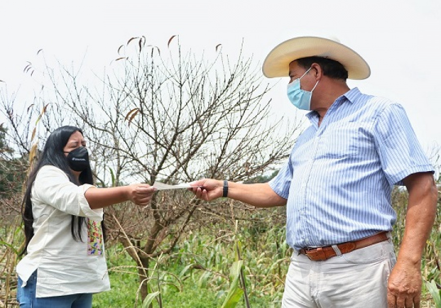 Entrega SDR cheques a productores de Zacatlán afectados por ‘Grace’