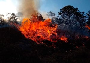 Reportan crecimiento de incendio en La Malinche