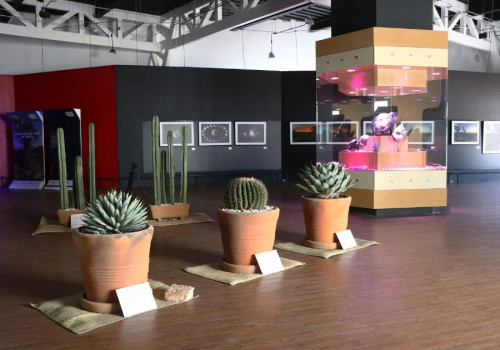 Con exposición, Cultura reinicia actividades del Museo de la Evolución Tehuacán