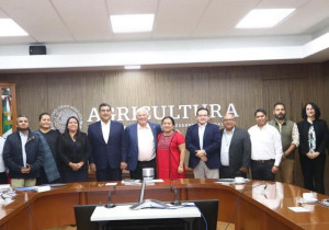 Presenta gobierno de Puebla estrategia para impulsar el agave mezcalero