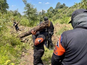 Aseguran Policía Forestal de Puebla y de Montaña de Tlaxcala hornos clandestinos de madera